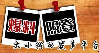 最新时政爆料,揭秘最新政策动向与影响  第3张